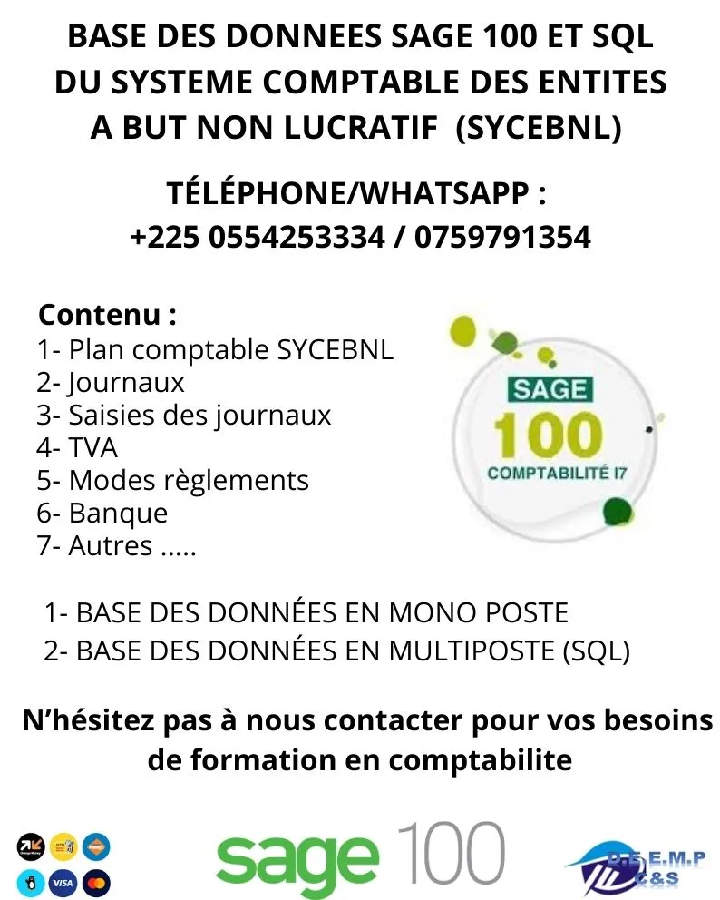 BASE DES DONNEES OPERATIONNELLE SAGE 100 COMPTABILITE, ADAPTE SYCEBNL