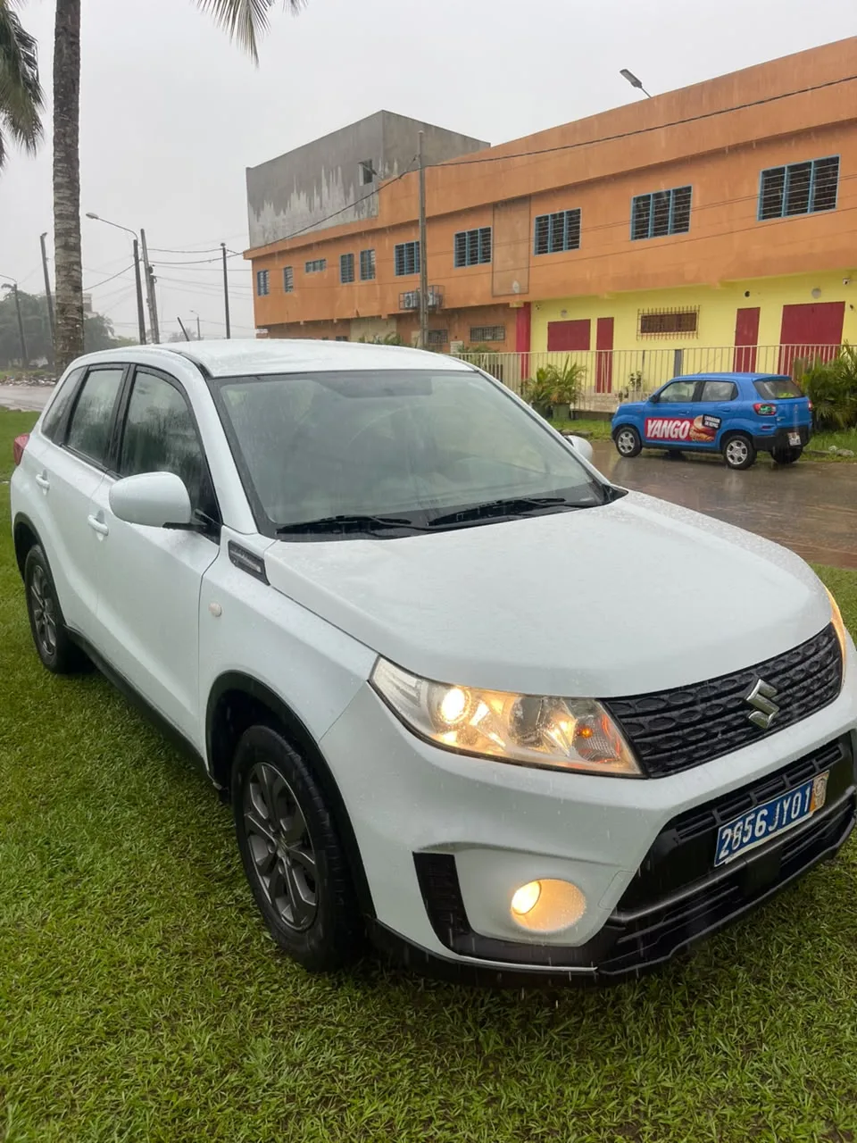 Suzuki vitæ