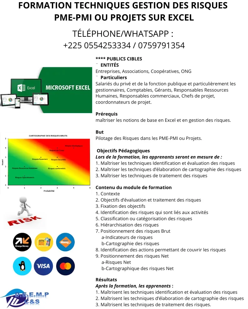 Techniques de Gestion des Risques avec Excel