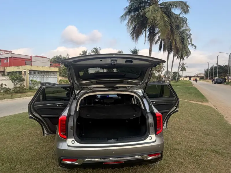 Haval Jolion en vente