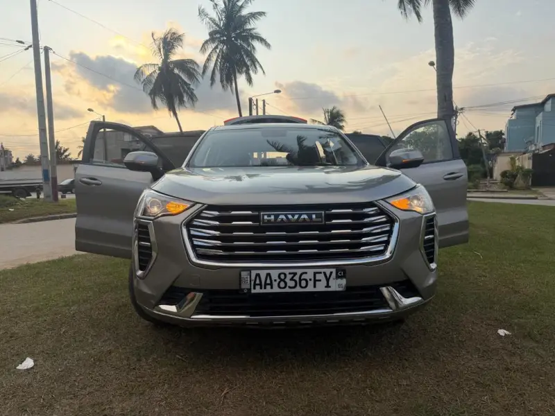 Haval Jolion en vente