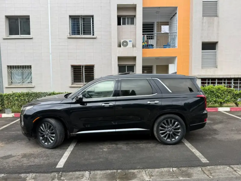 Hyundai PALISADE en vente