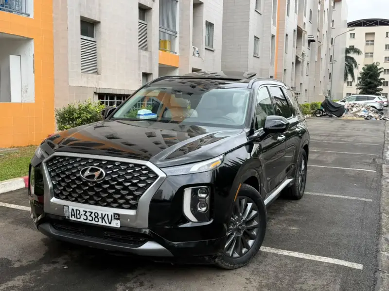 Hyundai PALISADE en vente