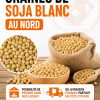 Stock de graines de soja blanc à vendre
