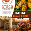 Cacao grade export disponible chez GTSCO entreprise du négoce