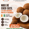 Noix de coco secs disponible en stock chez GTSCO