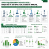 FORMATION ANALYSE DES DONNEES AVEC EXCEL (statistique descriptive)