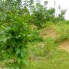 Terrain 680m² à Mondoukou avec ACD