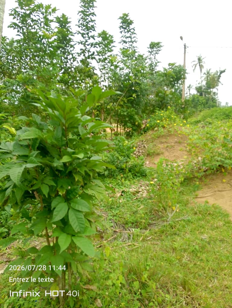 Terrain 680m² à Mondoukou avec ACD