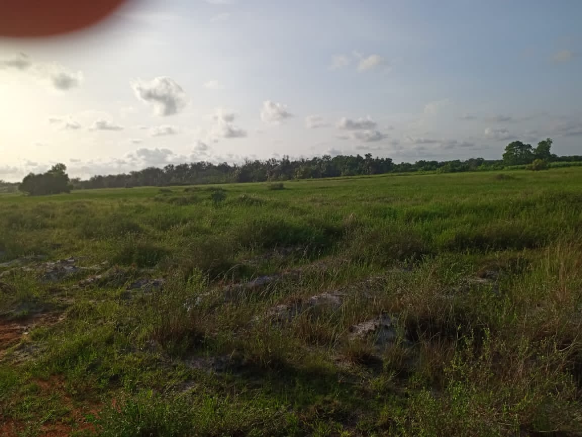 Terrain 1 hectare en vente avec ACD à ASSOUINDE